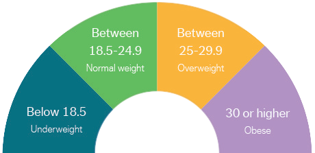 bmi circle